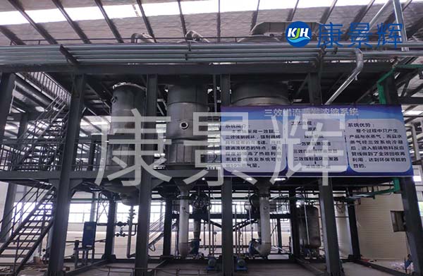 多效降膜蒸發(fā)器可以用來濃縮處理廢水，特別適合處理牛奶、淀粉、葡萄糖等食品廠廢水的加工處理中